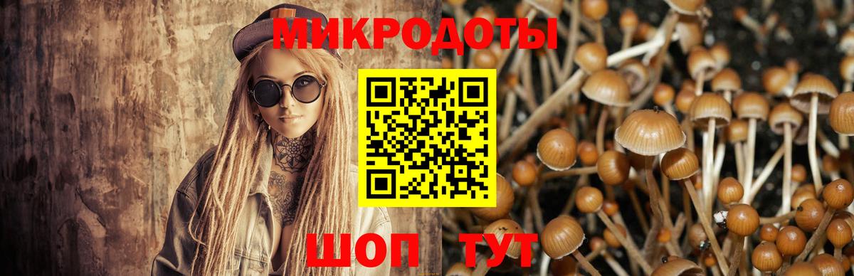 Псилоцибиновые грибы мухоморы Алапаевск